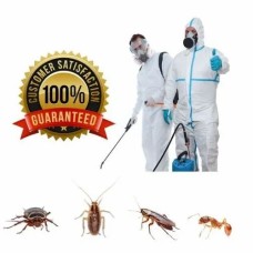 Cockroach Control Treatment